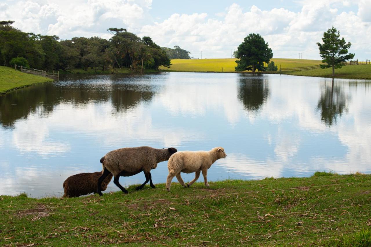 Aires De Patagonia Hotel Cambará Kültér fotó