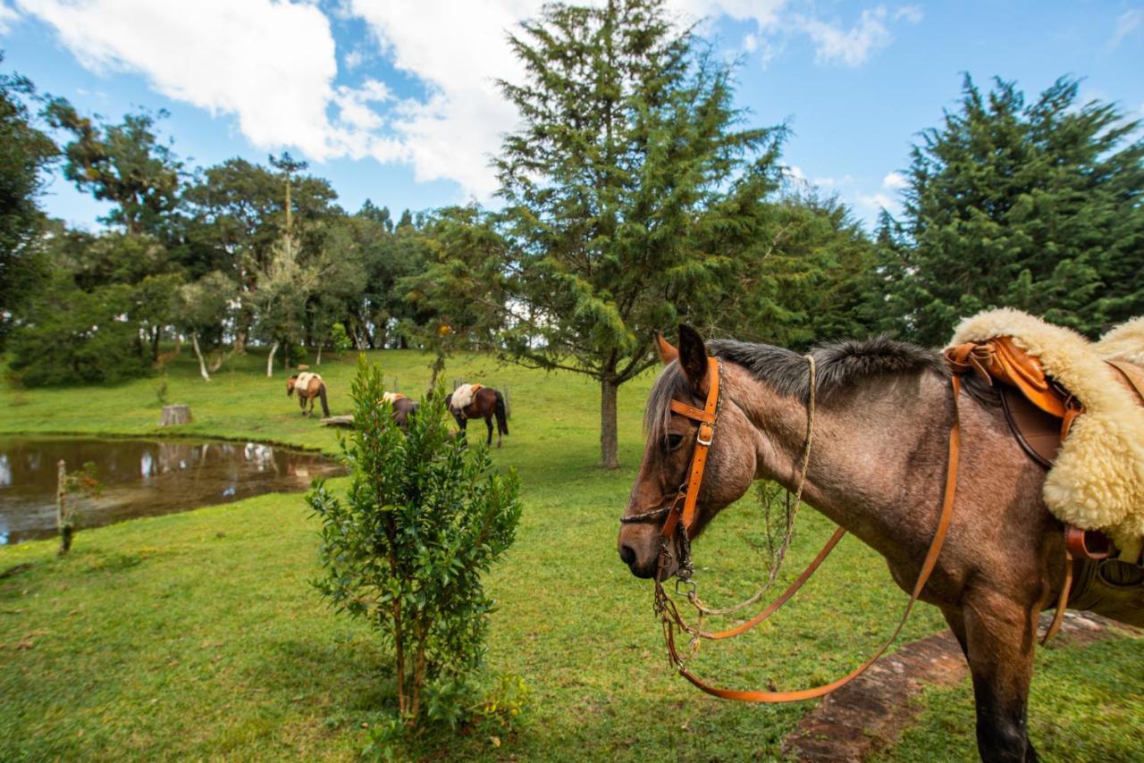 Aires De Patagonia Hotel Cambará Kültér fotó